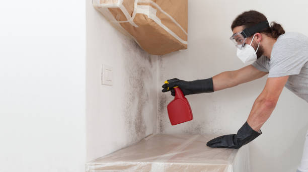 Professional Mold Inspection And Testing technician working in Schiller Park, IL